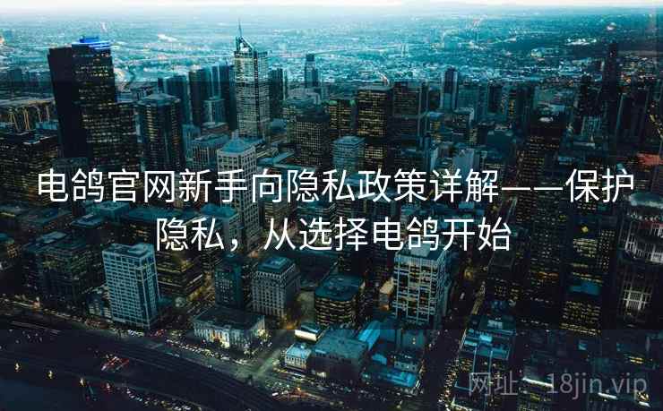 电鸽官网新手向隐私政策详解——保护隐私，从选择电鸽开始