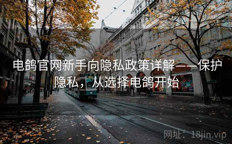 电鸽官网新手向隐私政策详解——保护隐私，从选择电鸽开始