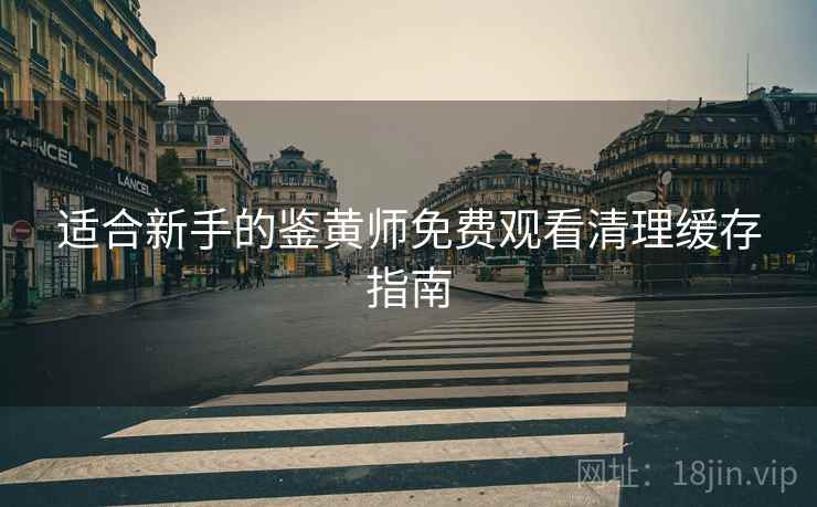 适合新手的鉴黄师免费观看清理缓存指南
