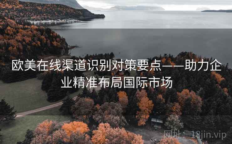 欧美在线渠道识别对策要点——助力企业精准布局国际市场