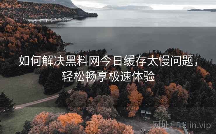 如何解决黑料网今日缓存太慢问题，轻松畅享极速体验