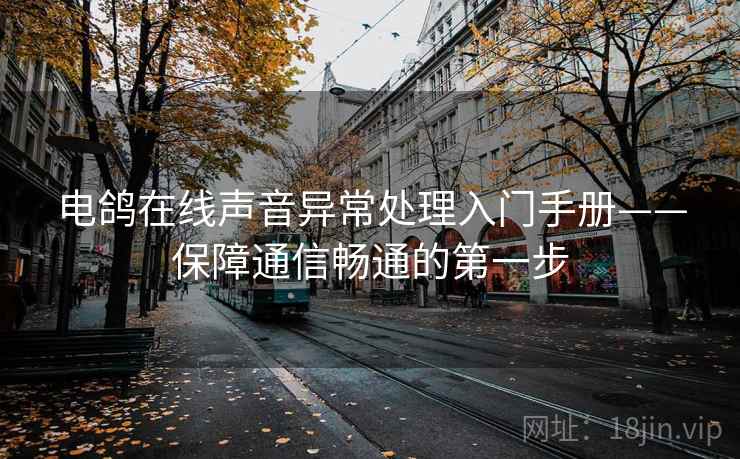 电鸽在线声音异常处理入门手册——保障通信畅通的第一步