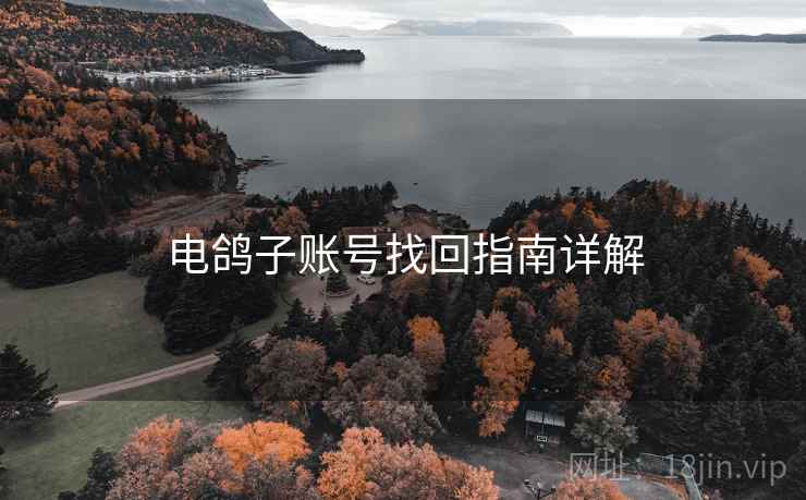 电鸽子账号找回指南详解