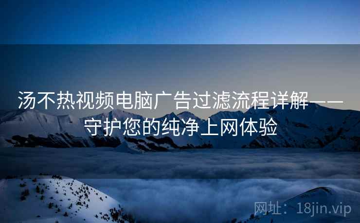 汤不热视频电脑广告过滤流程详解——守护您的纯净上网体验