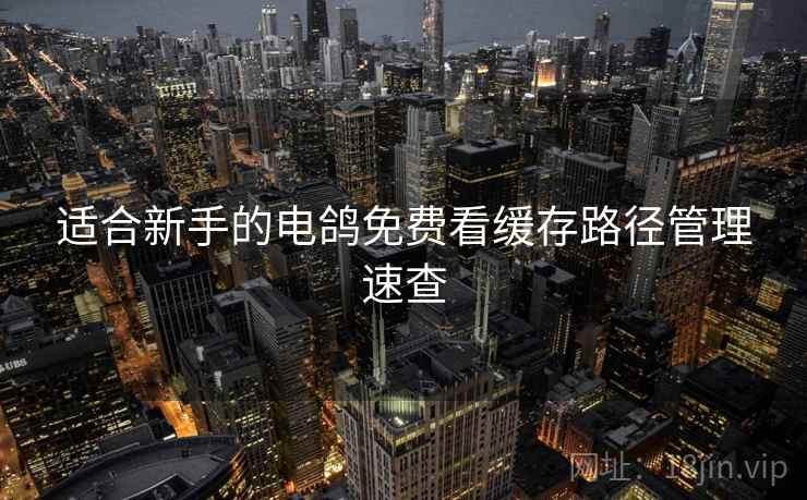 适合新手的电鸽免费看缓存路径管理速查