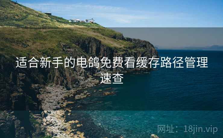 适合新手的电鸽免费看缓存路径管理速查