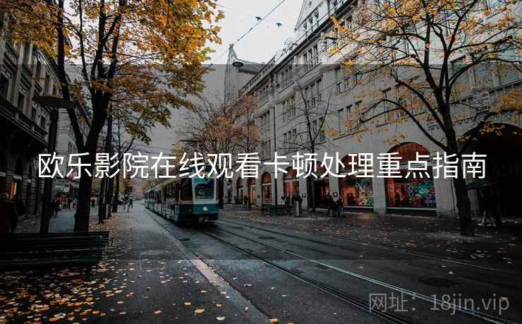 欧乐影院在线观看卡顿处理重点指南
