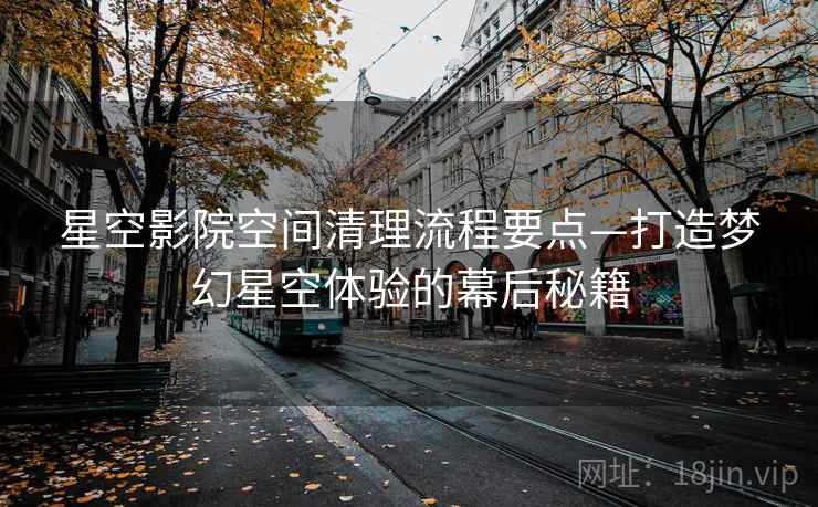 星空影院空间清理流程要点—打造梦幻星空体验的幕后秘籍