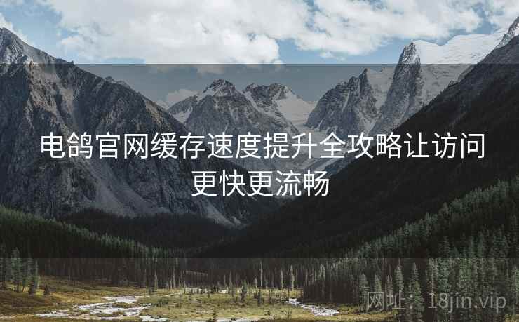 电鸽官网缓存速度提升全攻略让访问更快更流畅