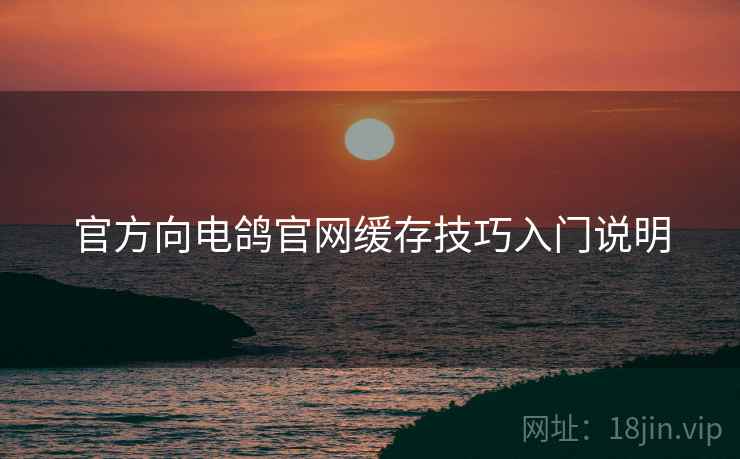 官方向电鸽官网缓存技巧入门说明