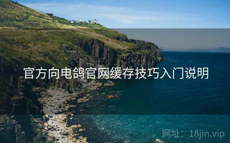 官方向电鸽官网缓存技巧入门说明