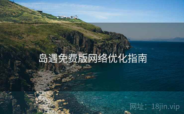 岛遇免费版网络优化指南