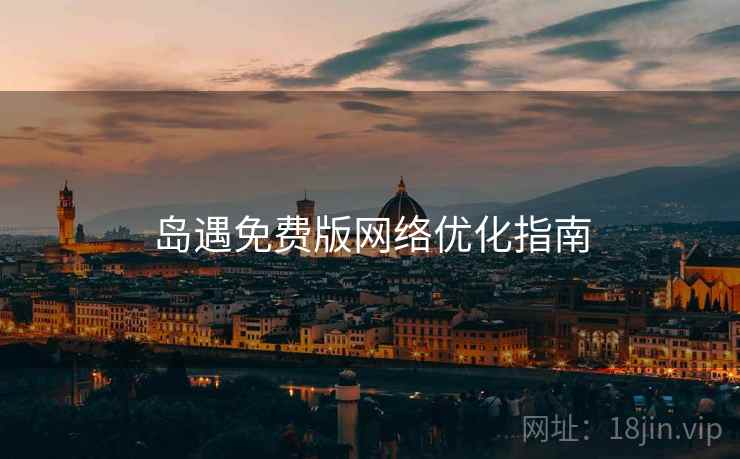 岛遇免费版网络优化指南