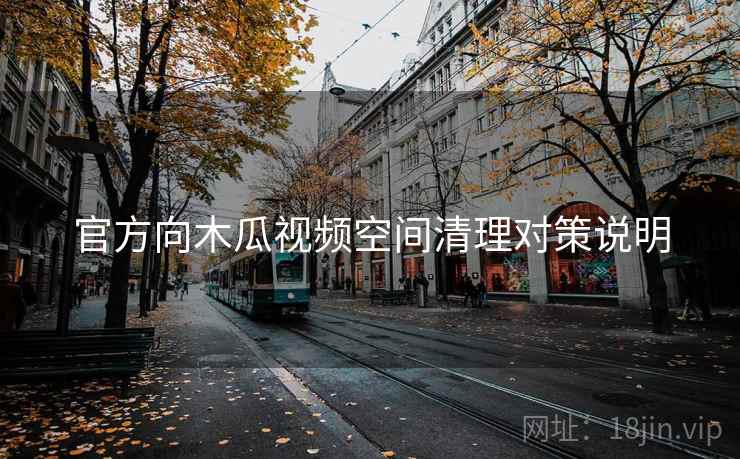 官方向木瓜视频空间清理对策说明
