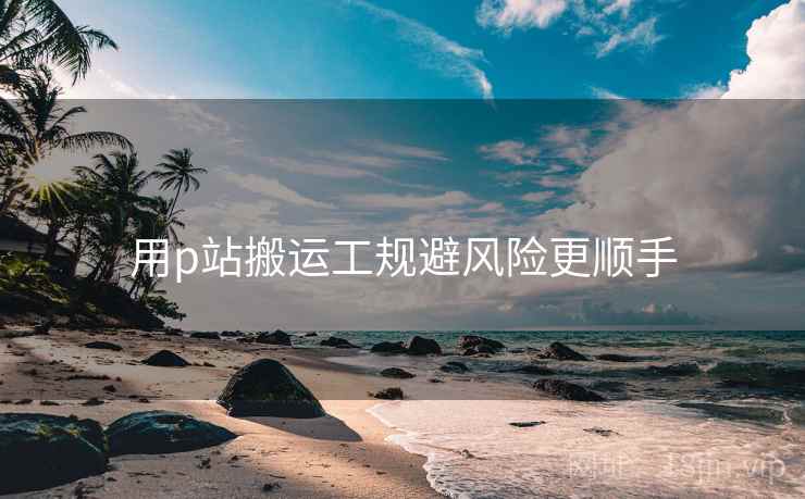 用p站搬运工规避风险更顺手