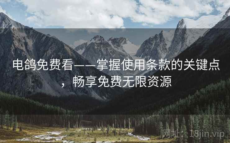 电鸽免费看——掌握使用条款的关键点，畅享免费无限资源